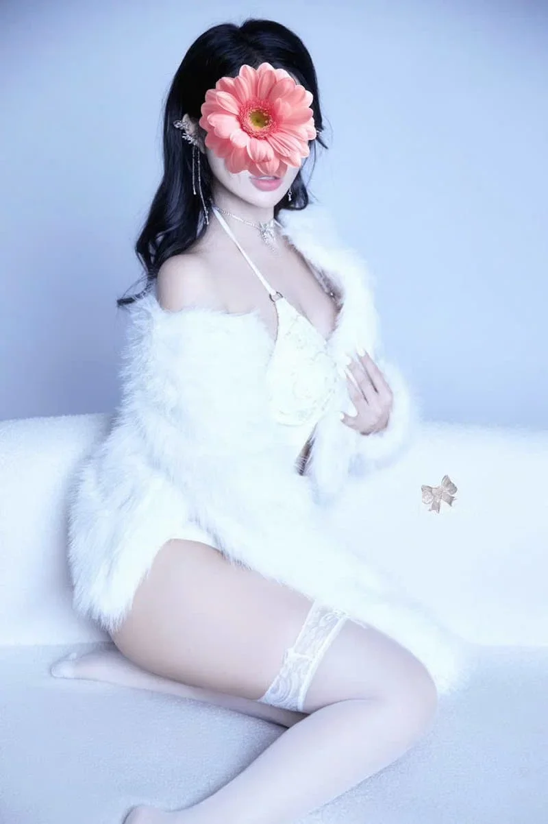 220a4323-29d6-4bdd-ab5a-3c4dc637b475_optimized.webp